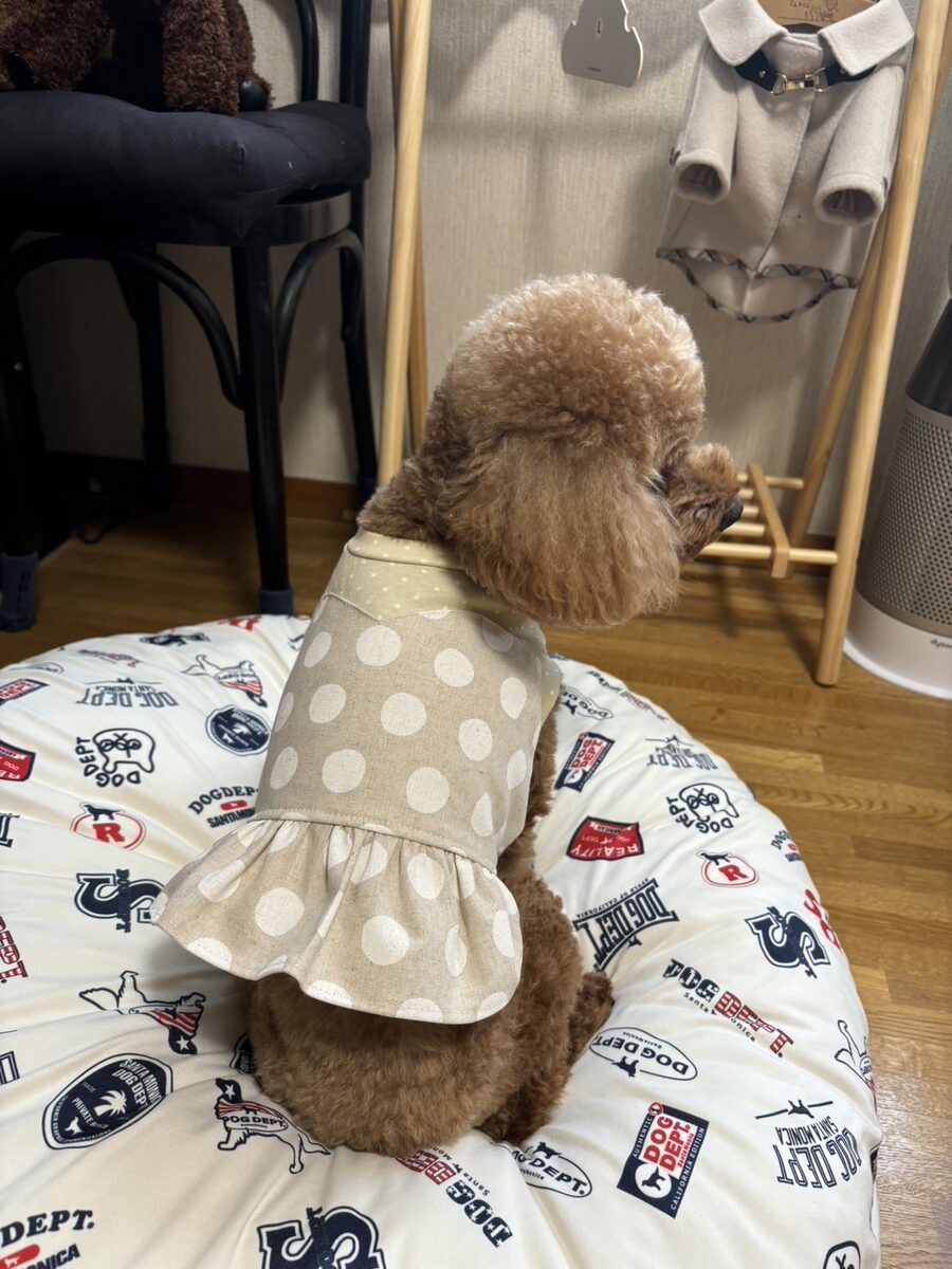 日本ペット服手作り協会講座 生徒作品14