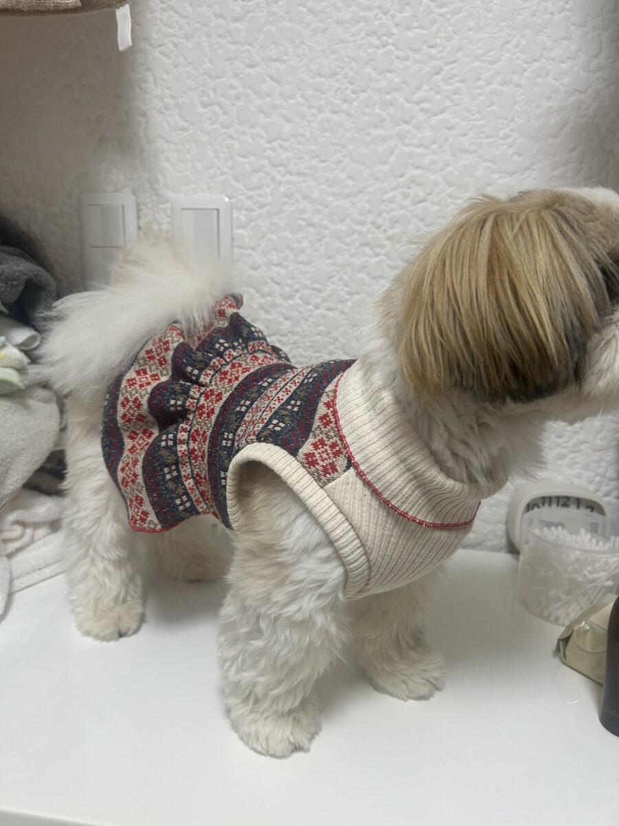 日本ペット服手作り協会講座 生徒作品17