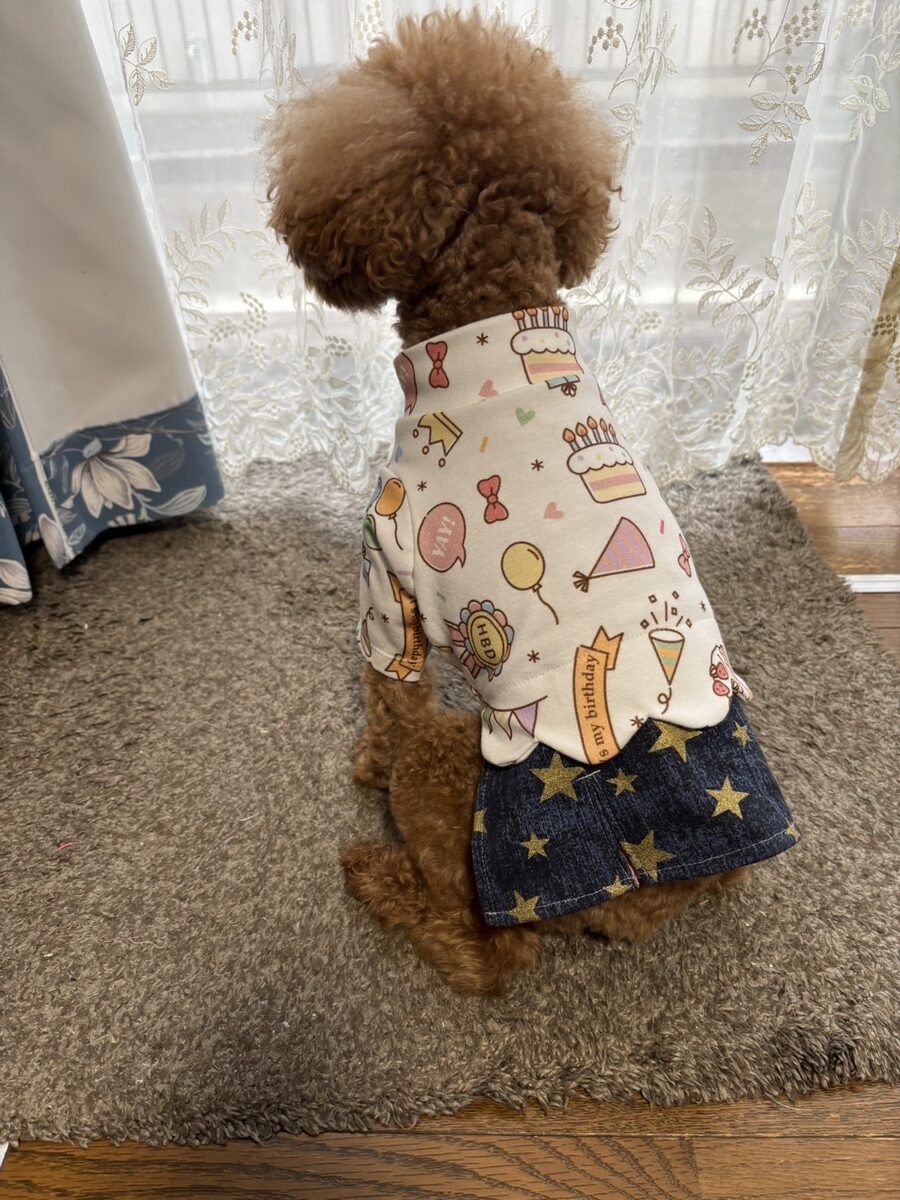 日本ペット服手作り協会講座 生徒作品18