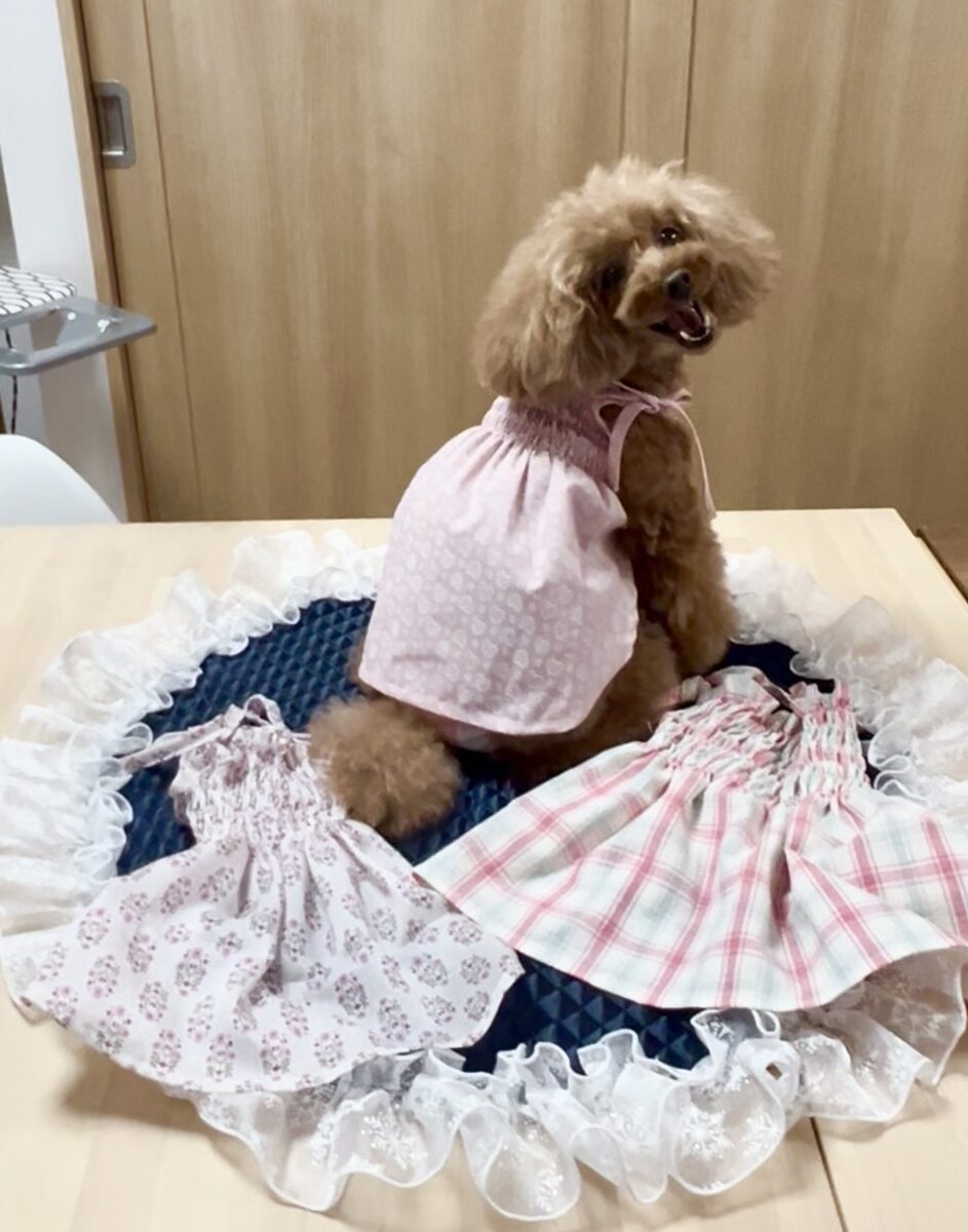 日本ペット服手作り協会講座 生徒作品19