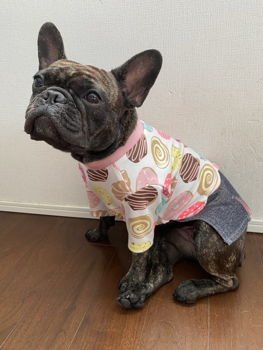 日本ペット服手作り協会講座 生徒作品20