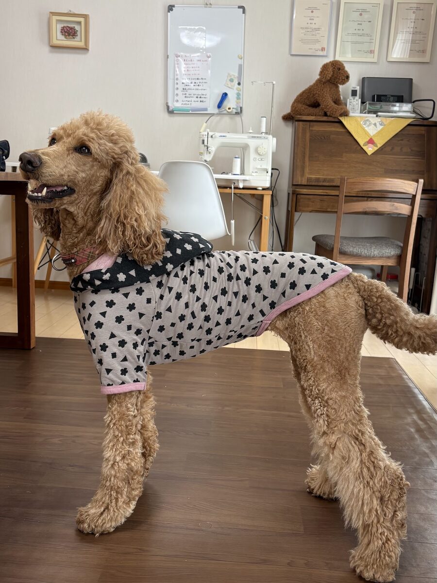 「うちの子サイズ」犬服講座 生徒作品1