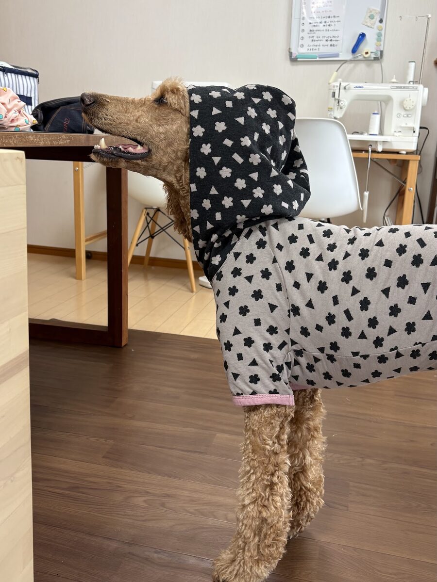 「うちの子サイズ」犬服講座 生徒作品2