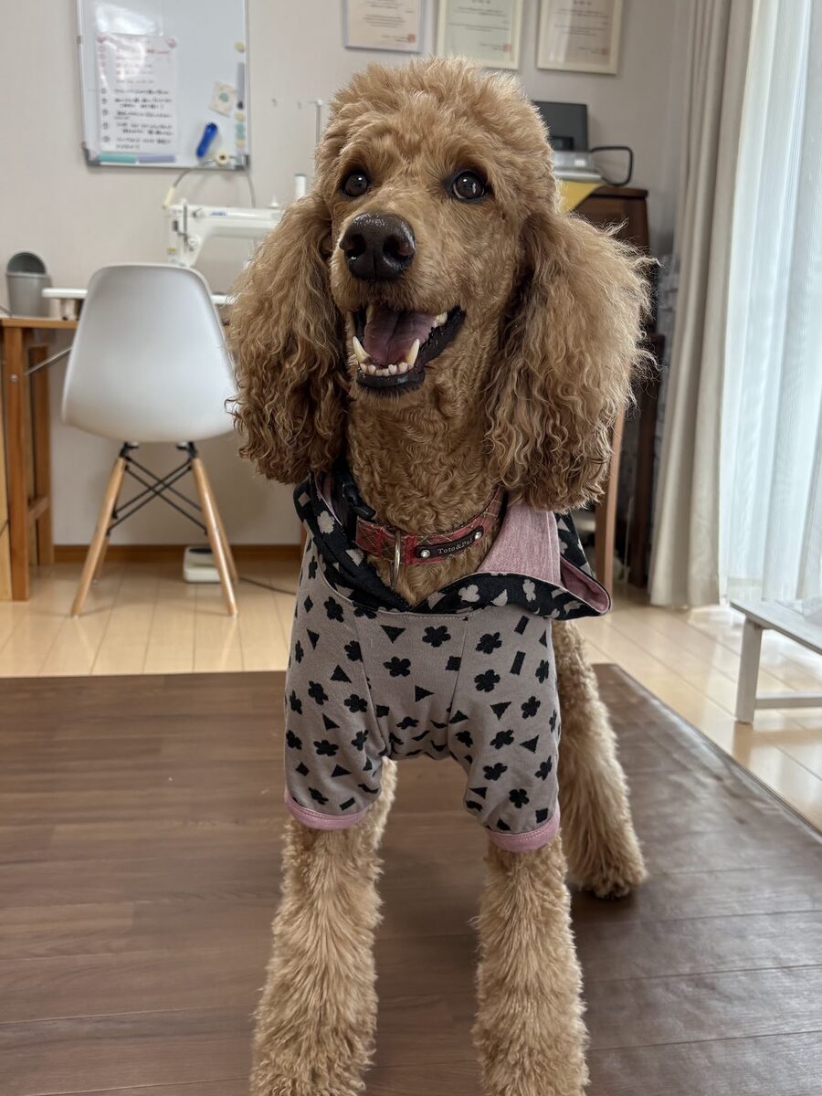 「うちの子サイズ」犬服講座 生徒作品3