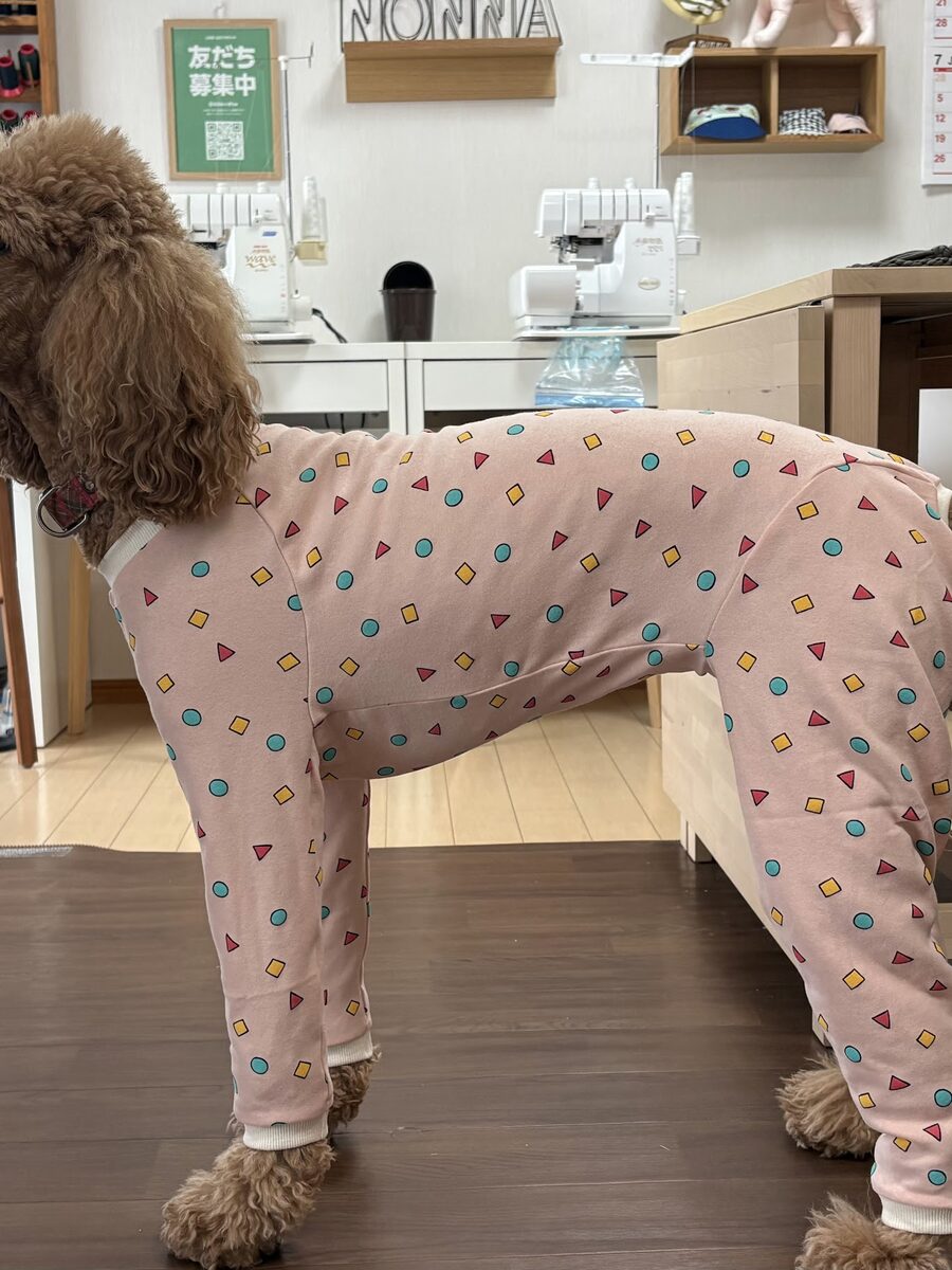 「うちの子サイズ」犬服講座 生徒作品5