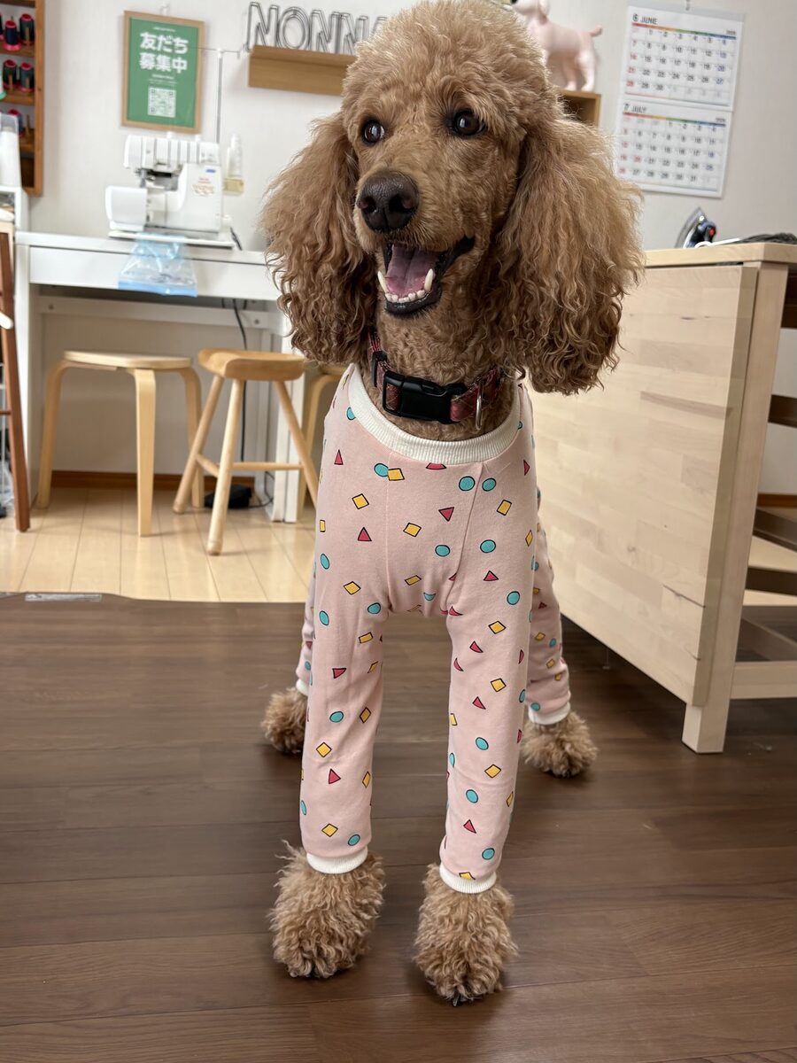 「うちの子サイズ」犬服講座 生徒作品6