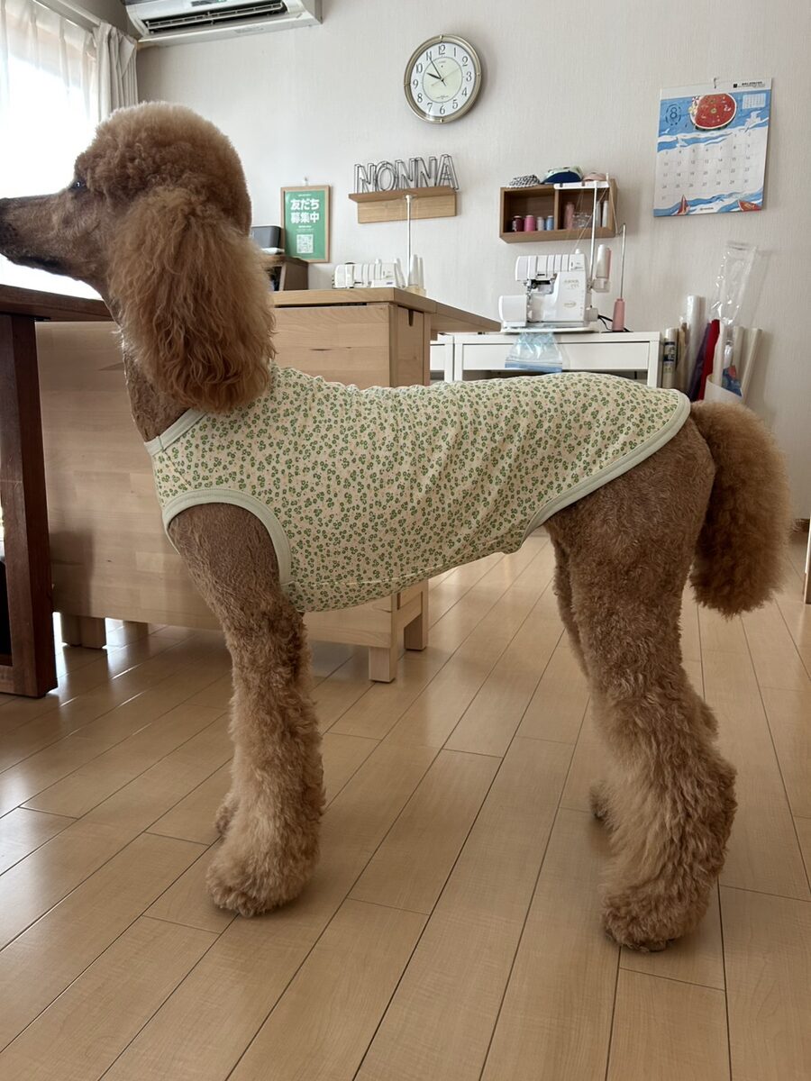 「うちの子サイズ」犬服講座 生徒作品7