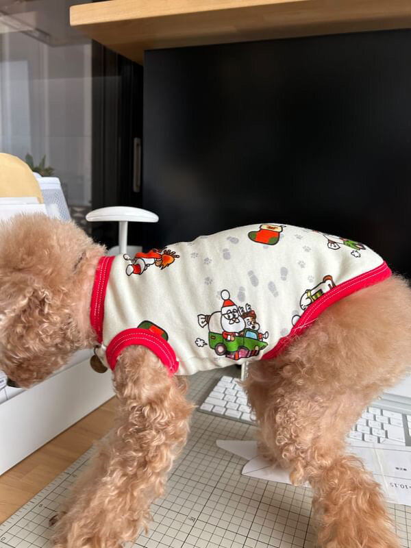 「うちの子サイズ」犬服講座 生徒作品9