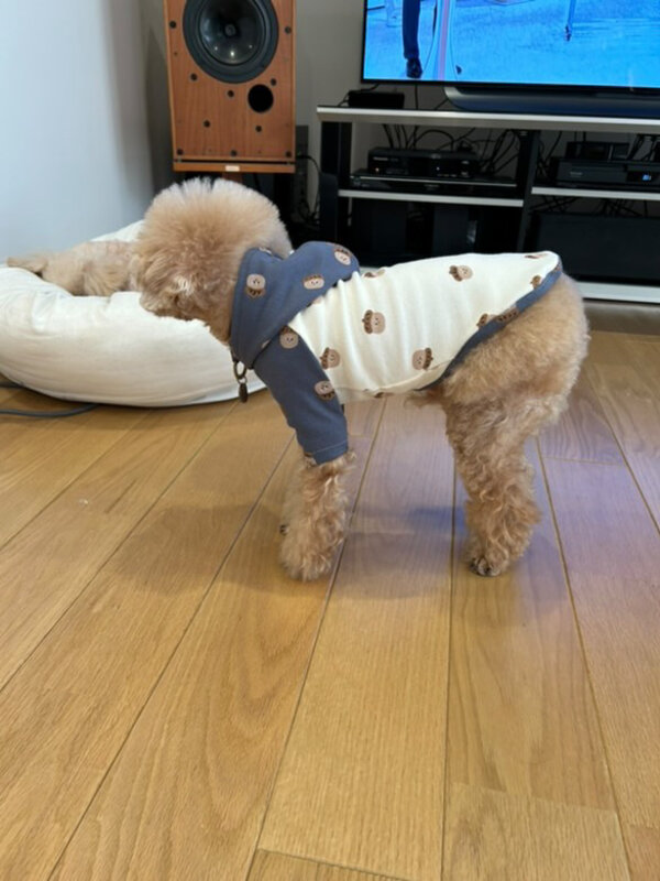 「うちの子サイズ」犬服講座 生徒作品11