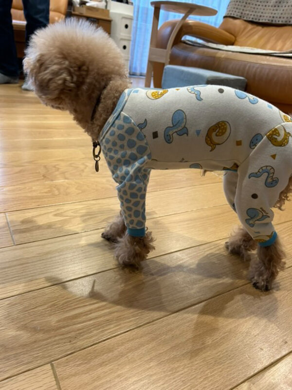 「うちの子サイズ」犬服講座 生徒作品12