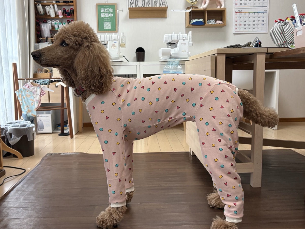 オーダーメイド犬服の販売作品